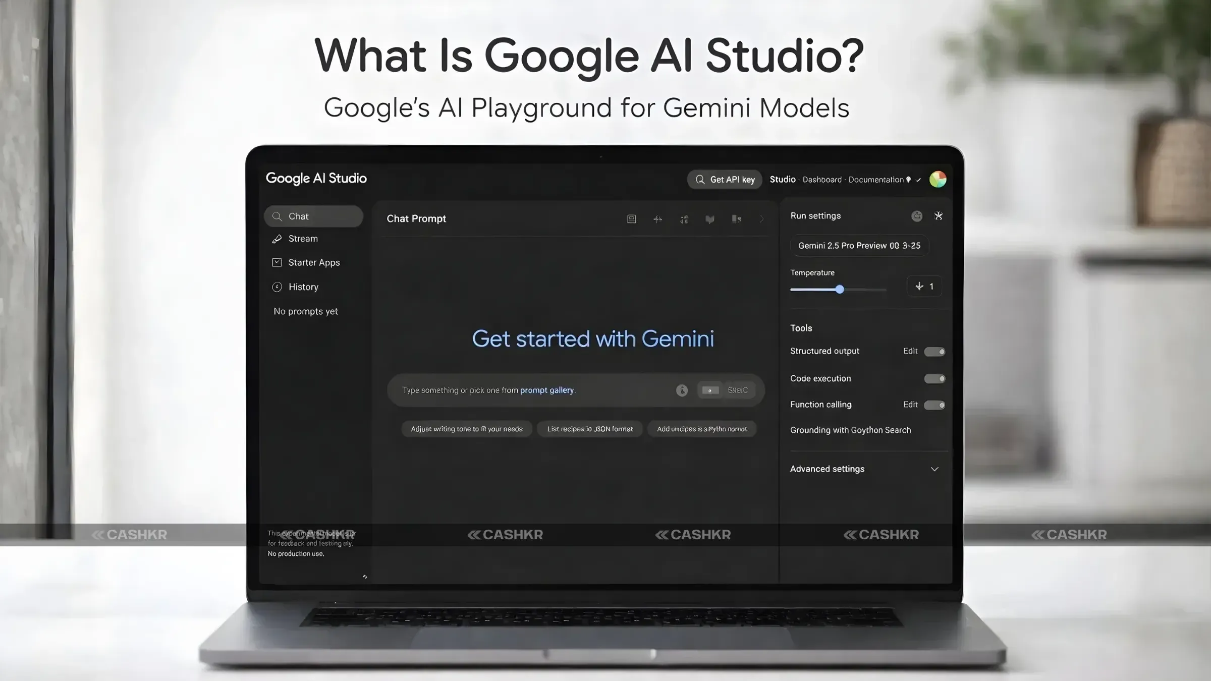 Google AI Studio